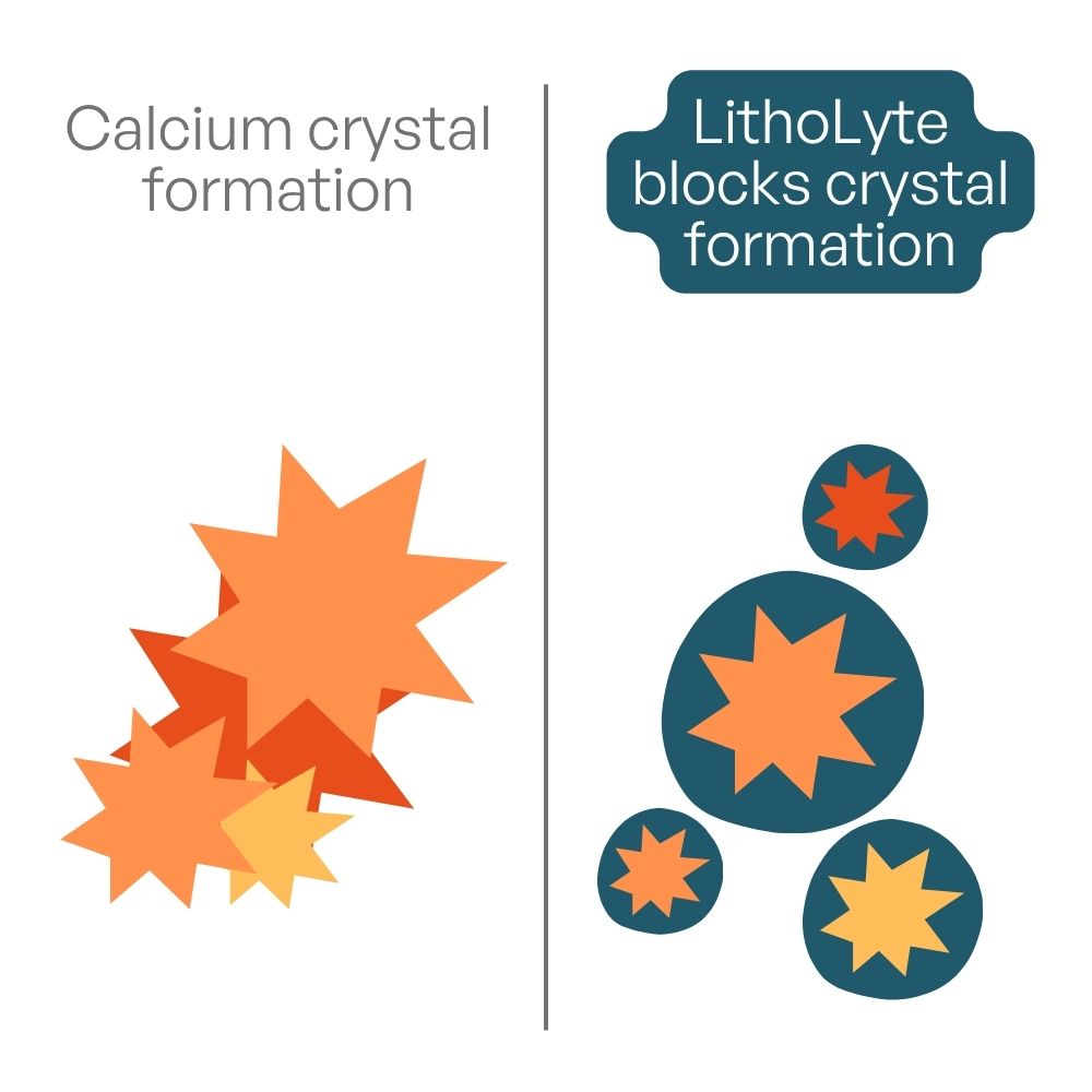 Illustration showing citrate molecules binding calcium to prevent stone formation
