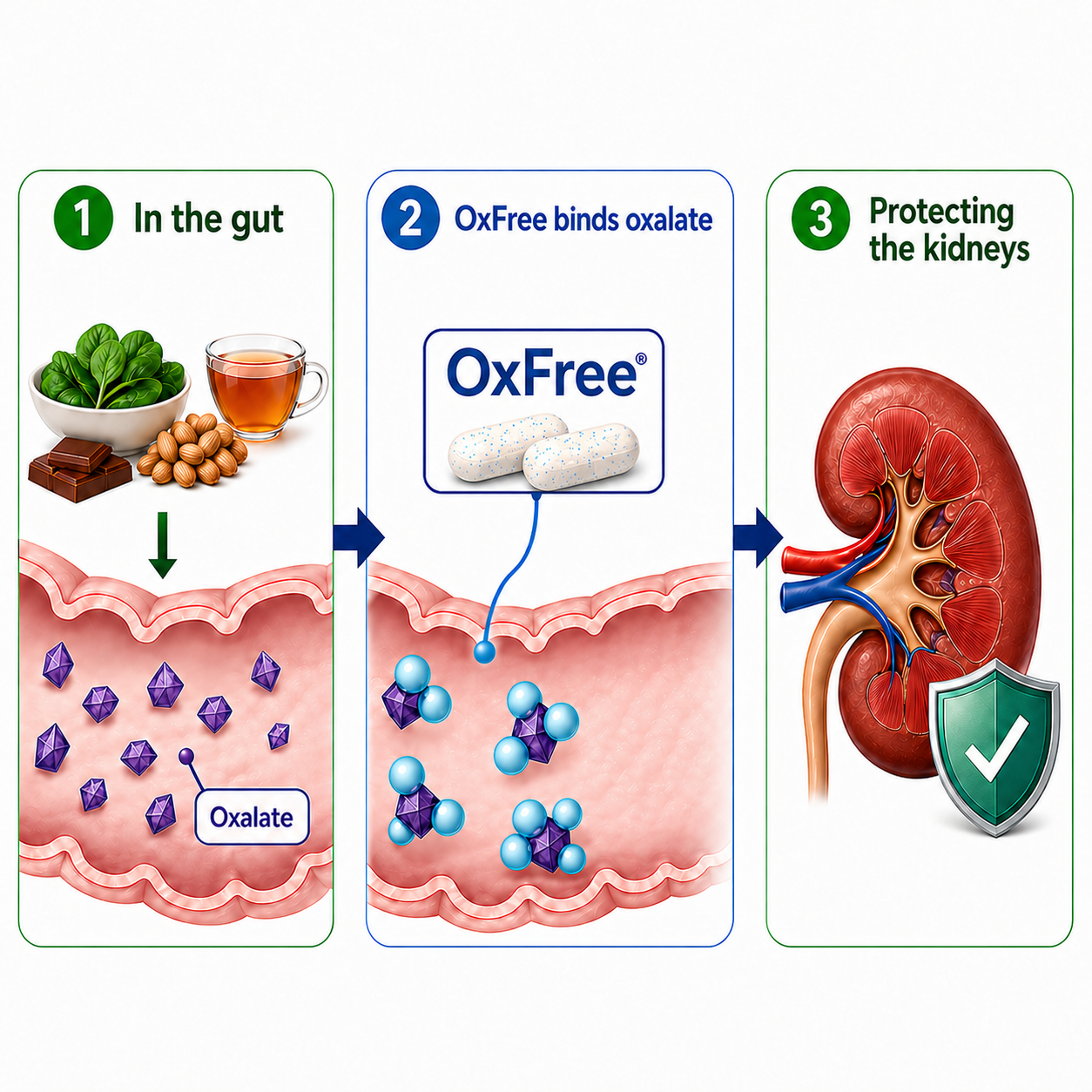 Plate of high-oxalate foods